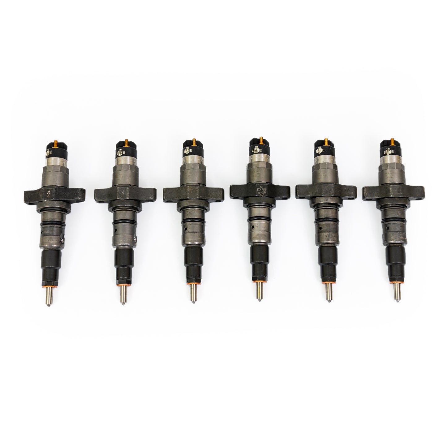 305-VCO-SET.jpg