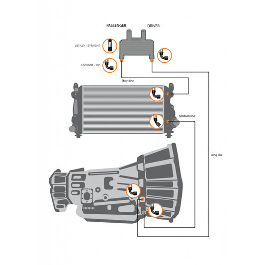 Allison Transmission Cooler Lines For 2006-2010 LBZ-LMM Fleece Performance